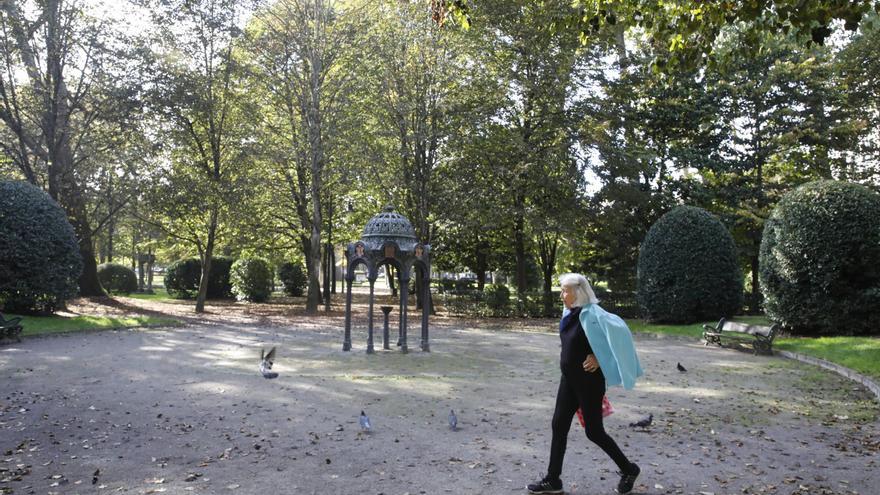 Medio Ambiente remata un estudio completo sobre la salud de los árboles del parque de Isabel la Católica