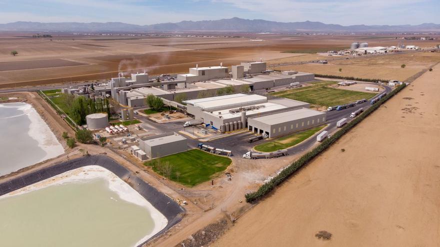 Una empresa asturiana, una colonia menonita y una insospechada oportunidad de mercado: los cuarenta años de Reny Picot en México