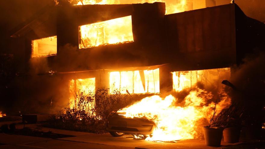 El emotivo encuentro de un perro con su dueño tras los incendios de Los Ángeles