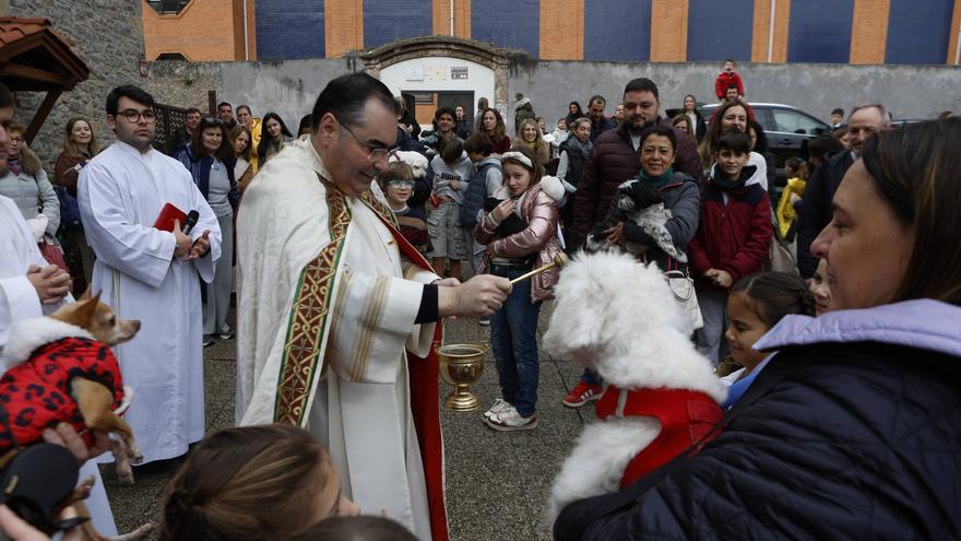 Gijón bendice a sus mascotas en la parroquia de Viesques: «Son uno más de la familia, queremos que estén protegidas»