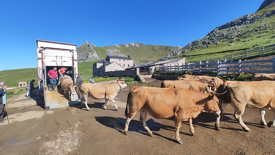 Mieres, contra las cuerdas en la «guerra de pastos»: los jueces abren la puerta a la expropiación del puerto de Pinos