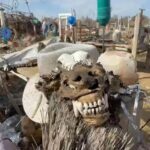 La finca del terror en Toledo: 17 perros rescatados, calaveras y lesiones rituales a los cachorros
