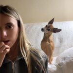 El vídeo viral de ‘Noa’, la perra que parece entender la conversación de su dueña