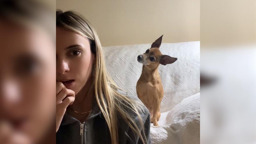 El vídeo viral de ‘Noa’, la perra que parece entender la conversación de su dueña
