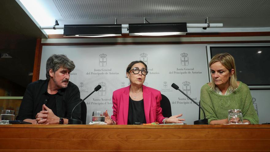 La oficialidad del asturiano vuelve a la Junta: esta es la «histórica» propuesta de la izquierda
