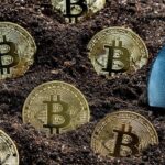 El gurú en criptomonedas argentino que destapó la polémica en la que está envuelto Milei, alerta: «3000 dólares por día o el 20% de lo que quieras retirar»