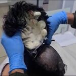 Interceptan en el aeropuerto de Colombia un hombre con un peluquín que llevaba en su interior 10.000 euros de droga
