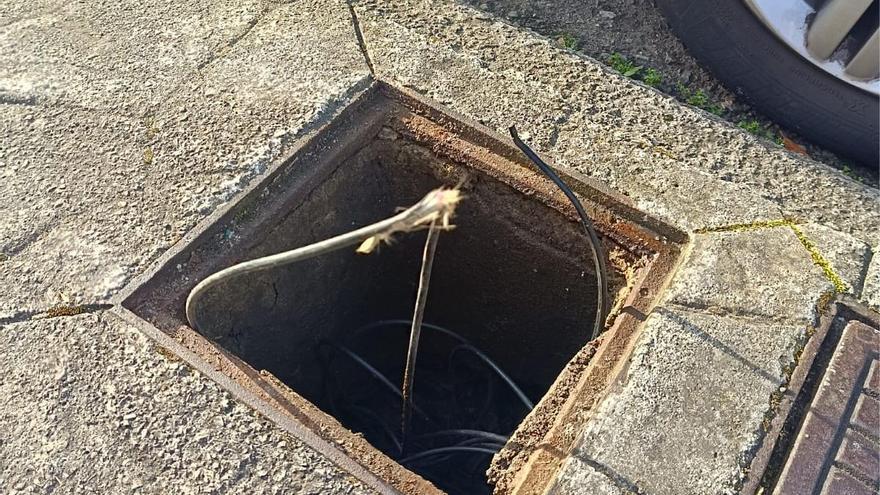 Los roedores, los enemigos de la fibra óptica en La Fresneda: «Nos dejan sin conexión»