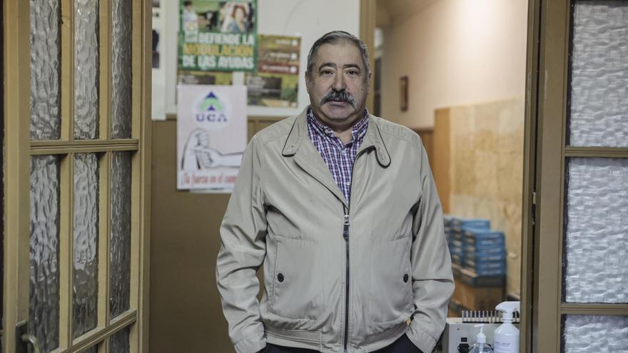 El saneamiento ganadero avanza en Tineo: los positivos por tuberculosis son ya 38 y un cuarto de las explotaciones han sido revisadas