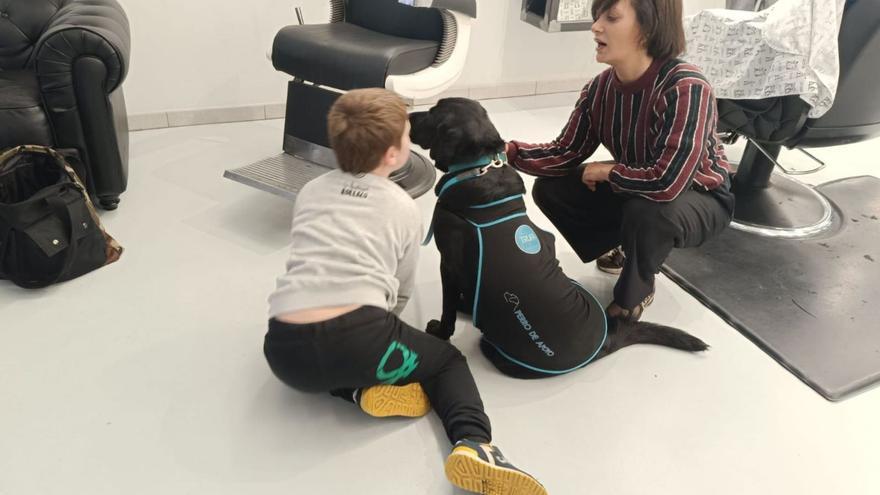 «Bonnie», el labrador ayudante de peluquería, que evita estrés a los niños con autismo