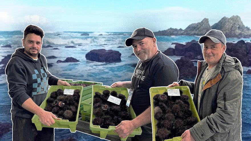 Y los mariscadores volvieron a por oricios asturianos nueve años dempués: asina tornaron a los pedreros