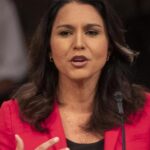 El Senado de EEUU confirma a Tulsi Gabbard como directora nacional de inteligencia