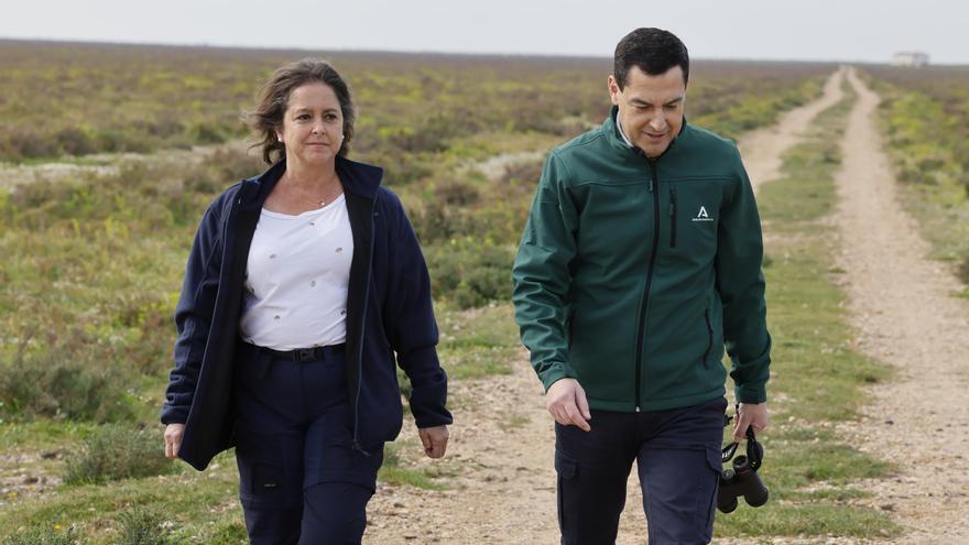 La Junta compra otra finca junto a Doñana para ampliar las hectáreas de humedales del Parque Nacional