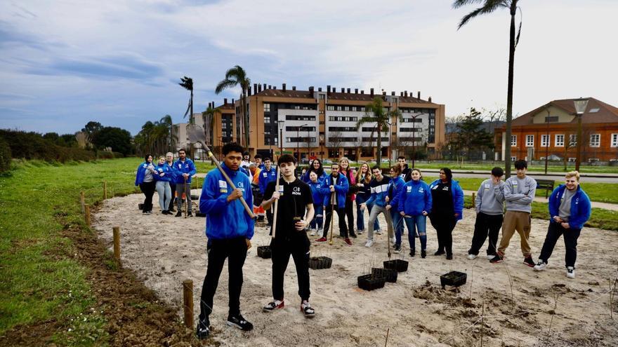 Un minibosque en El Lauredal levantado con la ayuda de los vecinos: «Trabajo en equipo y aprender cosas nuevas»