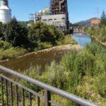 El plan de recuperación del río Nalón en Lada incluirá la plantación de 3.000 árboles
