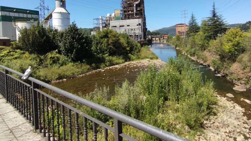 El plan de recuperación del río Nalón en Lada incluirá la plantación de 3.000 árboles