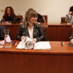 El PSOE niega el linchamiento a la exedil de Festejos de Avilés y los dos concejales sin cartera votan con el gobierno