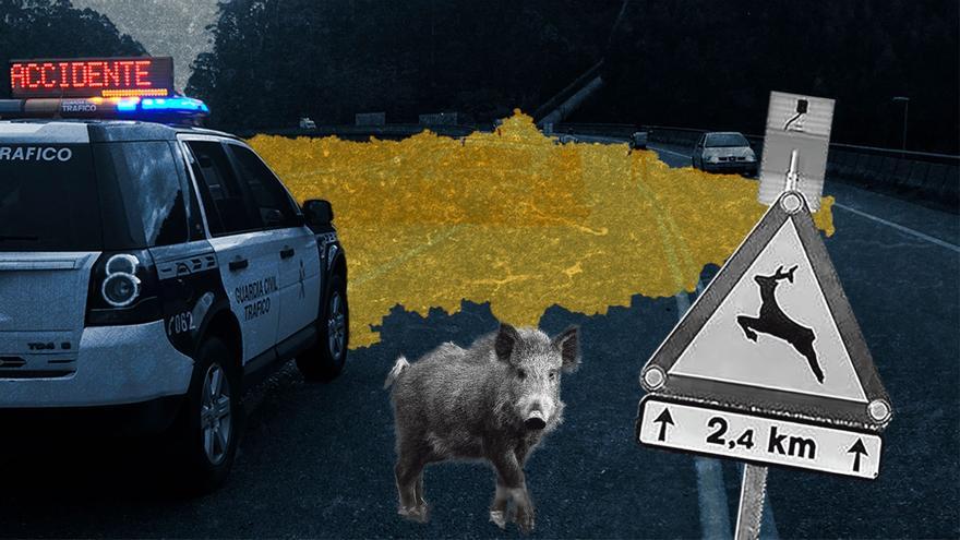 Aumentan los accidentes con animales en Asturias: estos son los nueve puntos negros