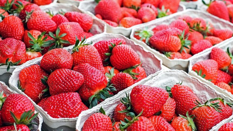 Las fresas están buenas y son buenas: estos son todos sus beneficios para la salud
