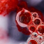 ¿Cómo funcionan el colesterol bueno y el colesterol malo, y cuáles son las cifras que debemos tener?