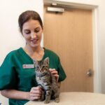 Del acceso a los fármacos al «abusivo» IVA del 21%: los veterinarios denuncian los problemas de las clínicas
