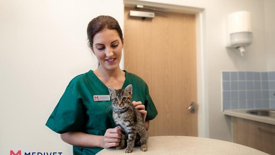 Del acceso a los fármacos al «abusivo» IVA del 21%: los veterinarios denuncian los problemas de las clínicas