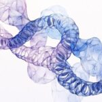 El ADN invisible nos muestra cómo cambian la Tierra y sus ecosistemas