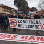 El PP presenta en el Senado una nueva iniciativa para sacar al lobo del listado de especies protegidas