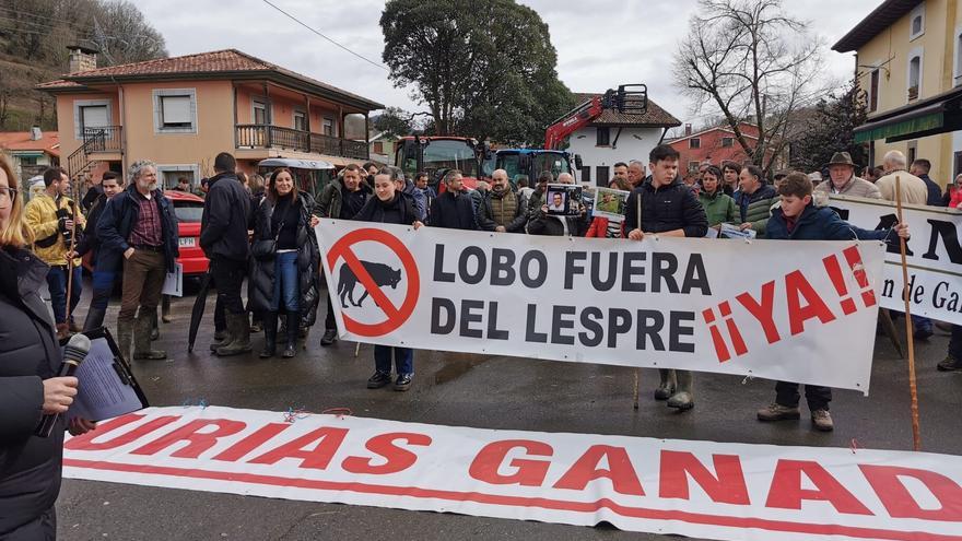 El PP presenta en el Senado una nueva iniciativa para sacar al lobo del listado de especies protegidas