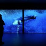 Una exposición muestra el camino a la extinción de millones de seres vivos marinos conscientes