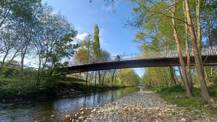 Grado contratará un servicio de siega y desbroce de los márgenes del río Cubia a su paso por la villa, que se prestará tres veces al año