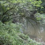 Llanera pedirá a la Confederación Hidrográfica la limpieza de cauces fluviales del concejo para prevenir inundaciones