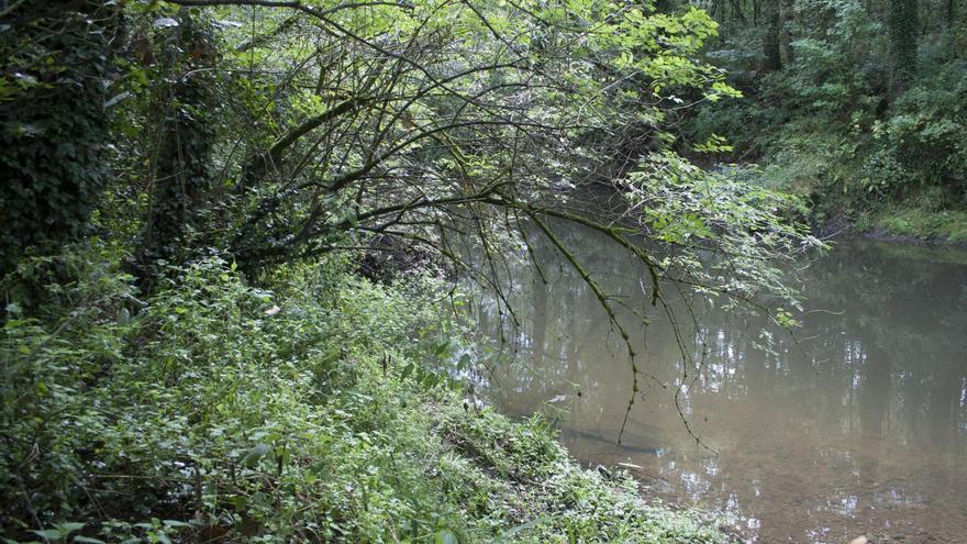 Llanera pedirá a la Confederación Hidrográfica la limpieza de cauces fluviales del concejo para prevenir inundaciones