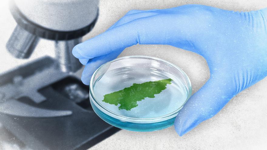 Pasamos el escáner a la ciencia y la innovación en Asturias: ¿cuántas empresas y personas trabajan en ellas?, ¿cuántas ayudas se dan?…