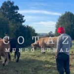 El sonado zasca de un ganadero asturiano a los veganos que comparan sus vacas con «le esclavitud humana»