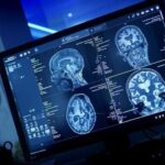 Entender mejor el alzhéimer o la prehistoria: cómo la inclusión de las mujeres está revolucionando la investigación