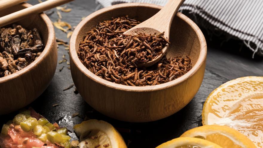 La verdad detrás de la revolución de la harina de gusano en la nutrición: ¿el nuevo superalimento?