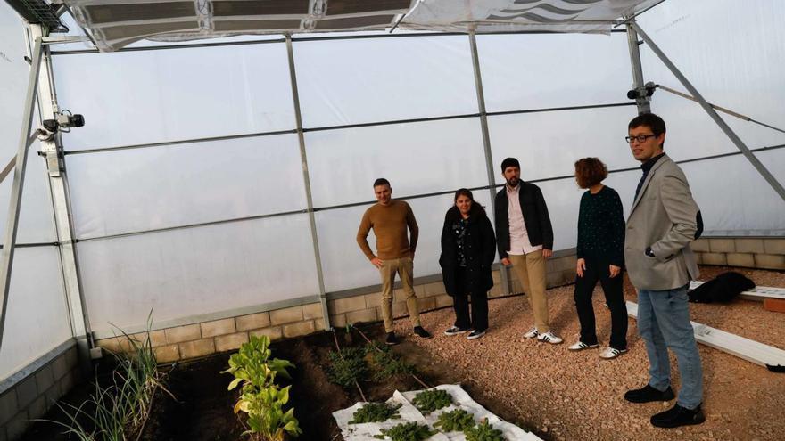 Invernaderos e inteligencia artificial: los curiosos proyectos que tienen entre manos en Gonvarri