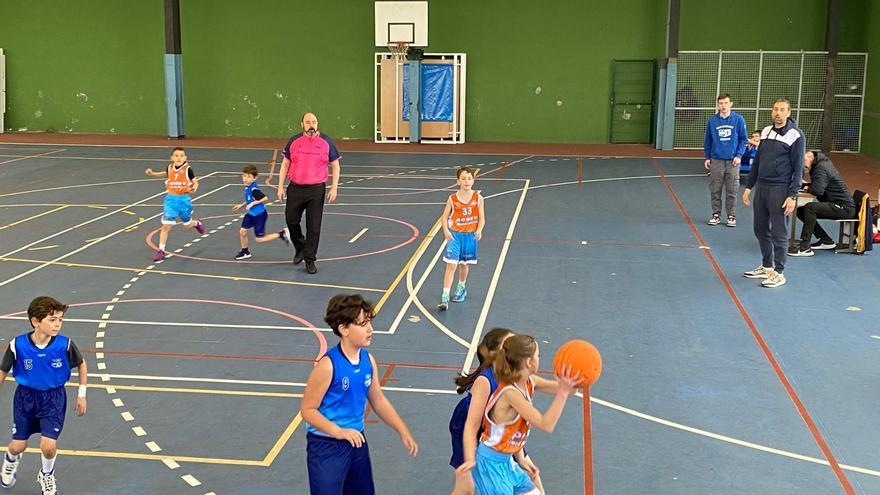 Buen fin de semana para el Club Baloncesto Cangas del Narcea con tres victorias en los cinco partidos disputados