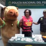 Un policía peruano se disfraza de la ‘Capibara del amor’ para capturar a un traficante de droga