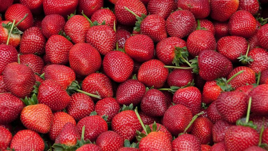 ¿Realmente hay alimentos con propiedades afrodisíacas que pueden aumentar la libido?