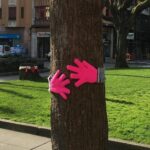 San Valentín «abraza» la plazuela de San Miguel de Gijón: por este motivo hay corazones y mensajes de amor en sus árboles