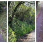 Grado invertirá 266.760 euros en el arreglo de caminos y carreteras: estas son las obras que se van a llevar a cabo