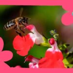 ¿Por qué la primavera la sangre altera, revoluciona las flores y trae de vuelta a las golondrinas?