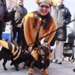 EN IMÁGENES: CONCURSO DE MASCOTAS ANTROXADAS EN AVILÉS