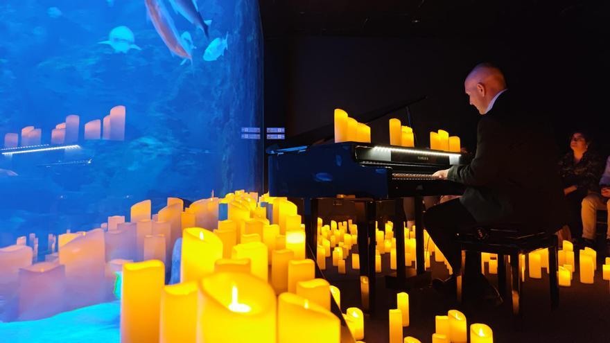 Concierto «A la luz de las velas» en el Acuario de Gijón: de las grandes bandas sonoras del cine a películas Disney