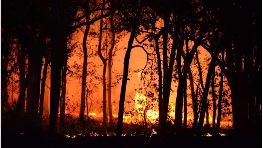 Estos son los cuatro incendios forestales que ocupan a los servicios de Emergencias en el Oriente