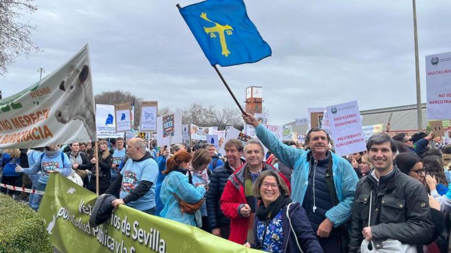 Así suena la canción con la que los veterinarios asturianos llaman a movilizarse el día 23 en Oviedo: «La salud animal no se regula con esposas en las manos»