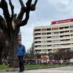 El plan de renovación del arbolado de Gijón arranca en estos dos lugares emblemáticos