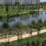 La Marjal de Alicante: la ‘esponja’ natural que puede absorber tanta agua como 18 piscinas olímpicas